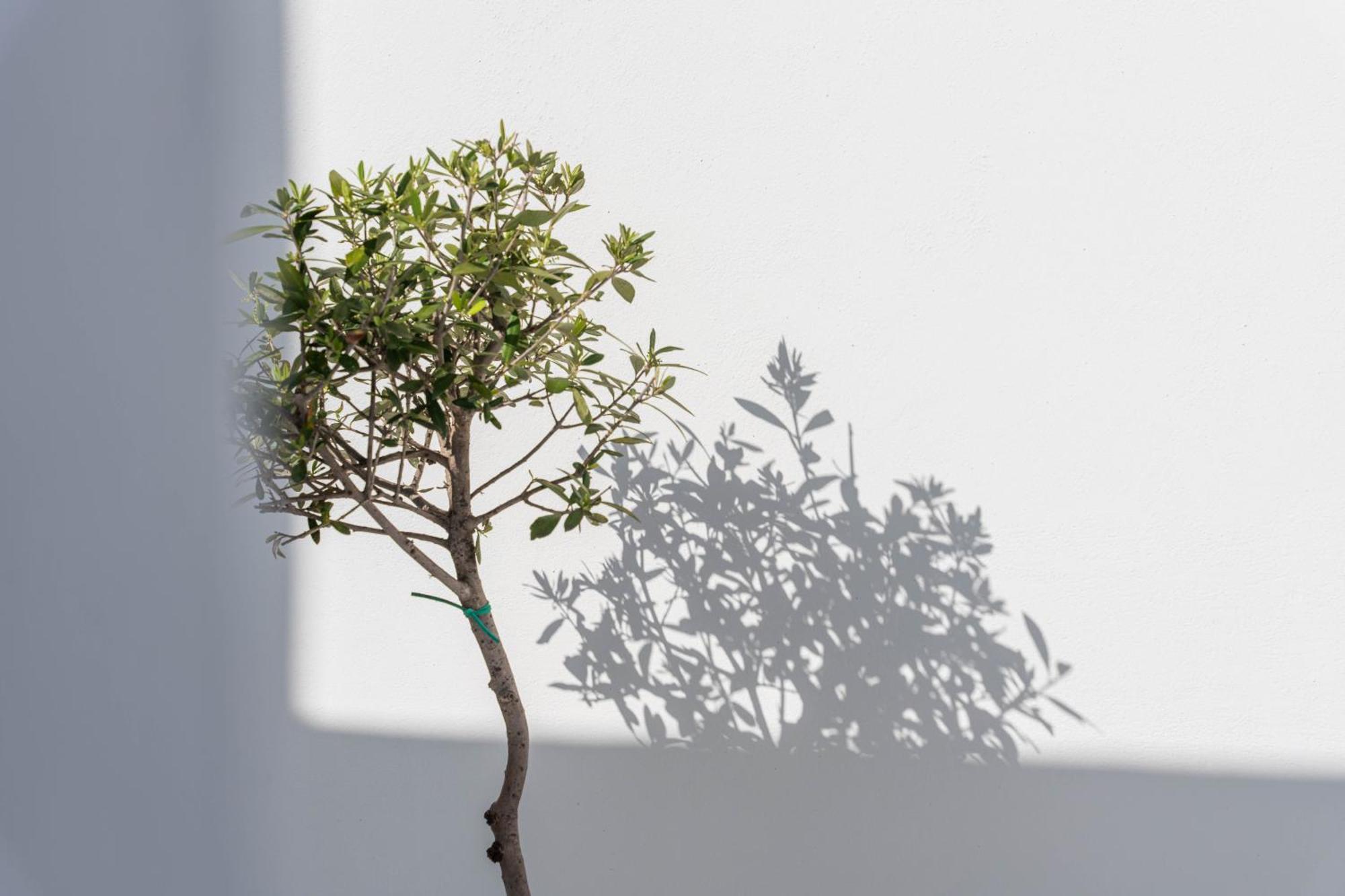 Cycladic Suites & Spa ฟิรา ภายนอก รูปภาพ
